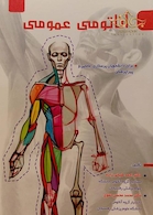 آناتومی عمومی | Public Anatomy